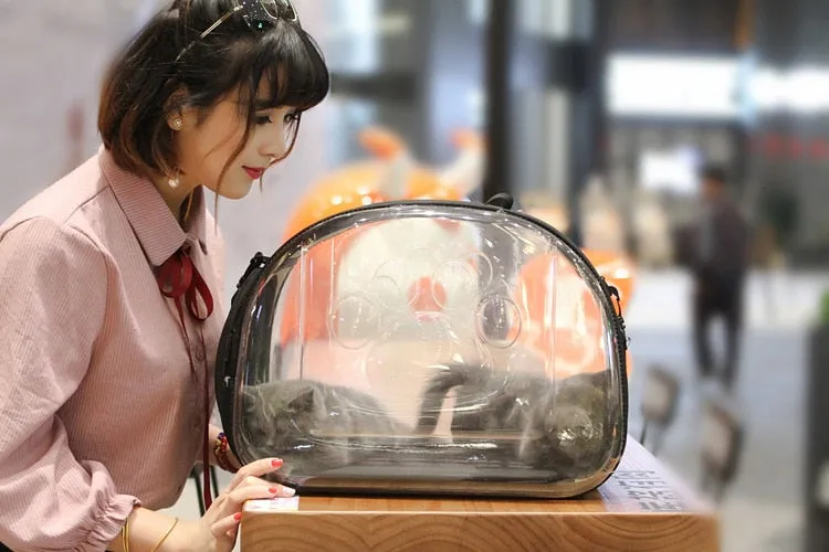 Transparent Pet Carrier