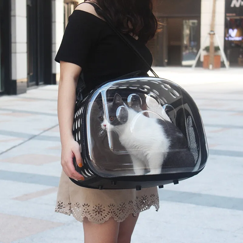 Transparent Pet Carrier