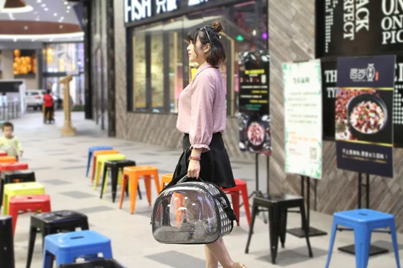 Transparent Pet Carrier