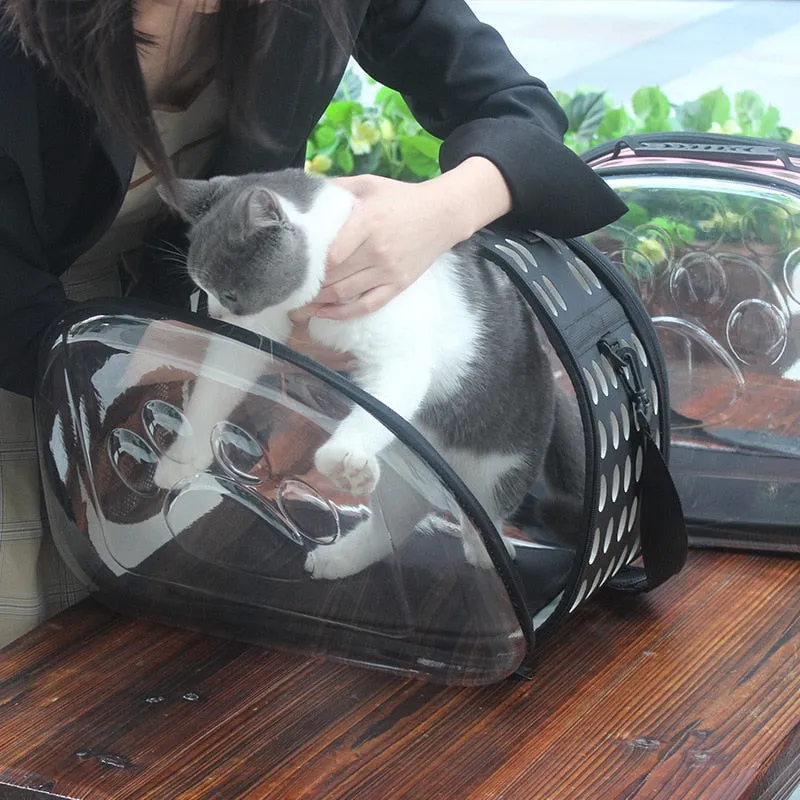 Transparent Pet Carrier