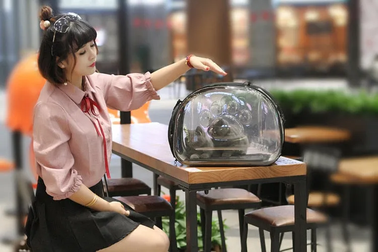Transparent Pet Carrier