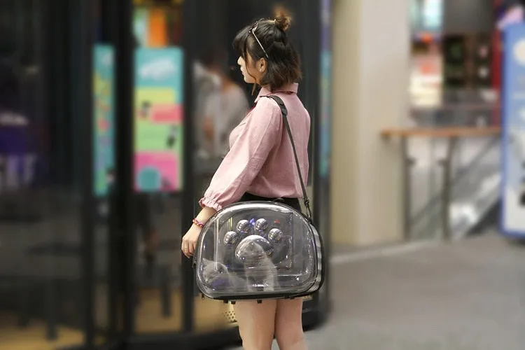 Transparent Pet Carrier