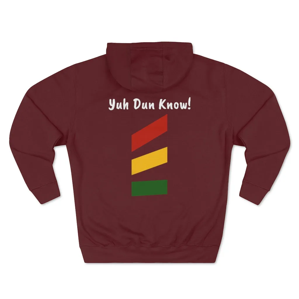 Unisex Premium Pullover Hoodie- Multi-Color (Prem-CHO)