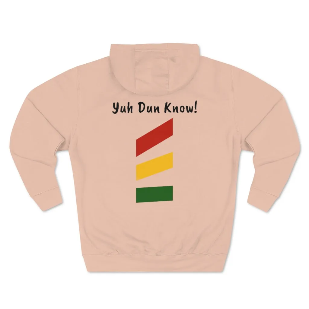 Unisex Premium Pullover Hoodie- Multi-Color (Prem-CHO)