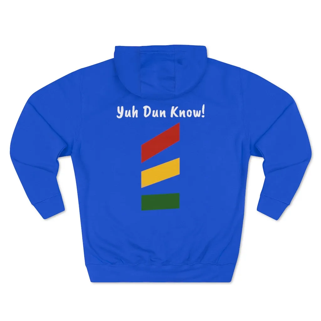 Unisex Premium Pullover Hoodie- Multi-Color (Prem-CHO)