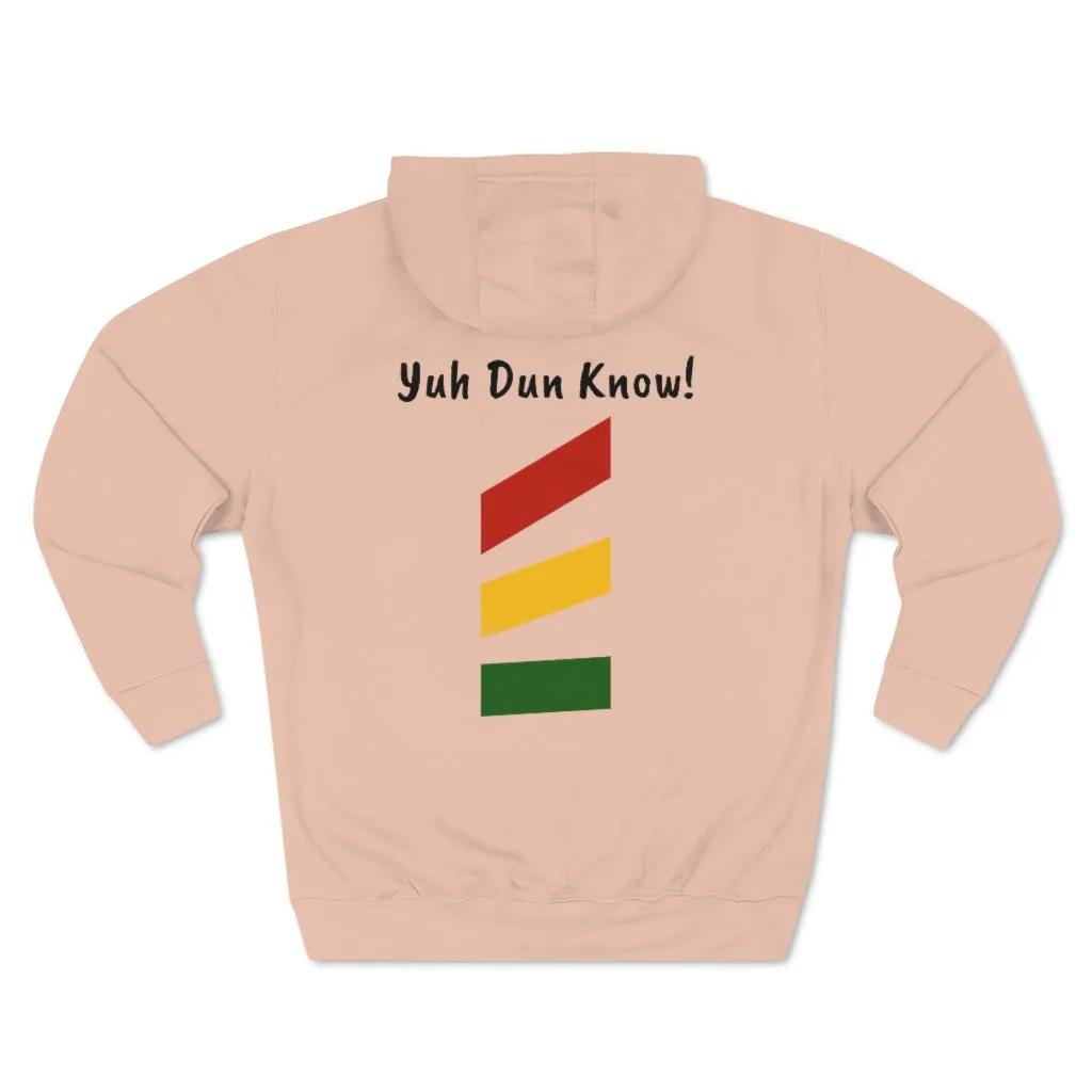 Unisex Premium Pullover Hoodie- Multi-Color (Prem-TDTD)