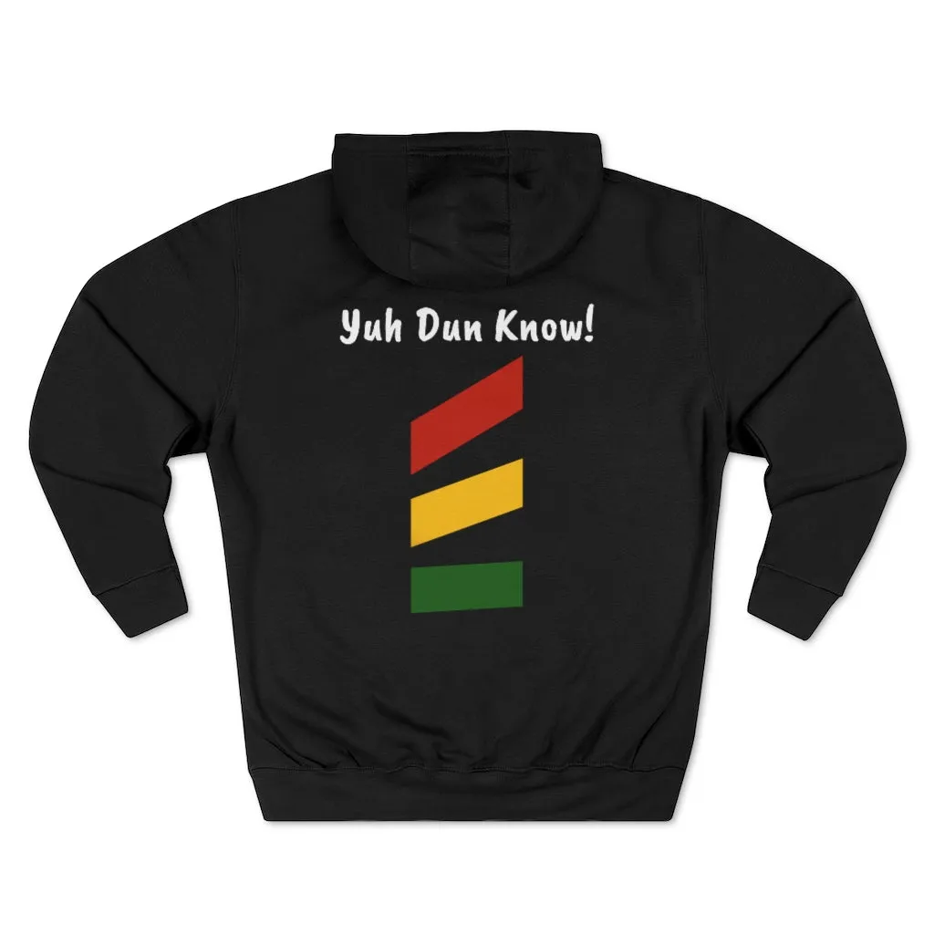 Unisex Premium Pullover Hoodie- Multi-Color (Prem-TDTD)