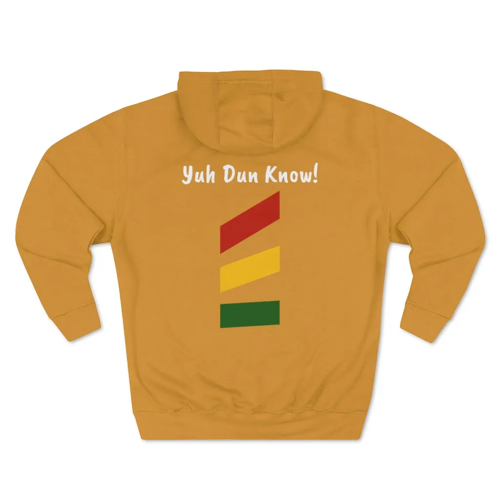 Unisex Premium Pullover Hoodie- Multi-Color (Prem-TDTD)