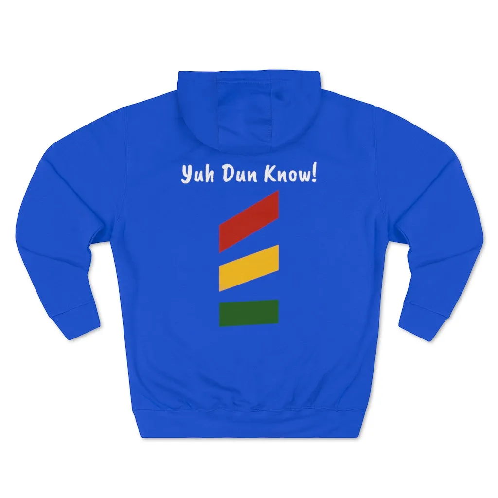 Unisex Premium Pullover Hoodie- Multi-Color (Prem-TDTD)